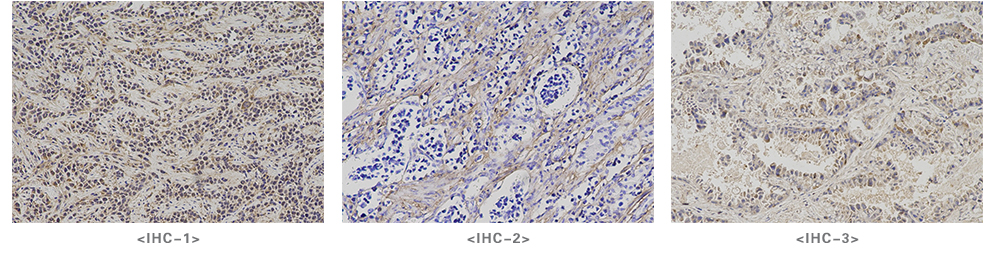 1656985805276869.jpg 1-210FQ60935621.jpg